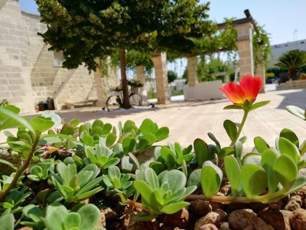 Il Giardino Del Tiglio Panzió Uggiano la Chiesa Kültér fotó
