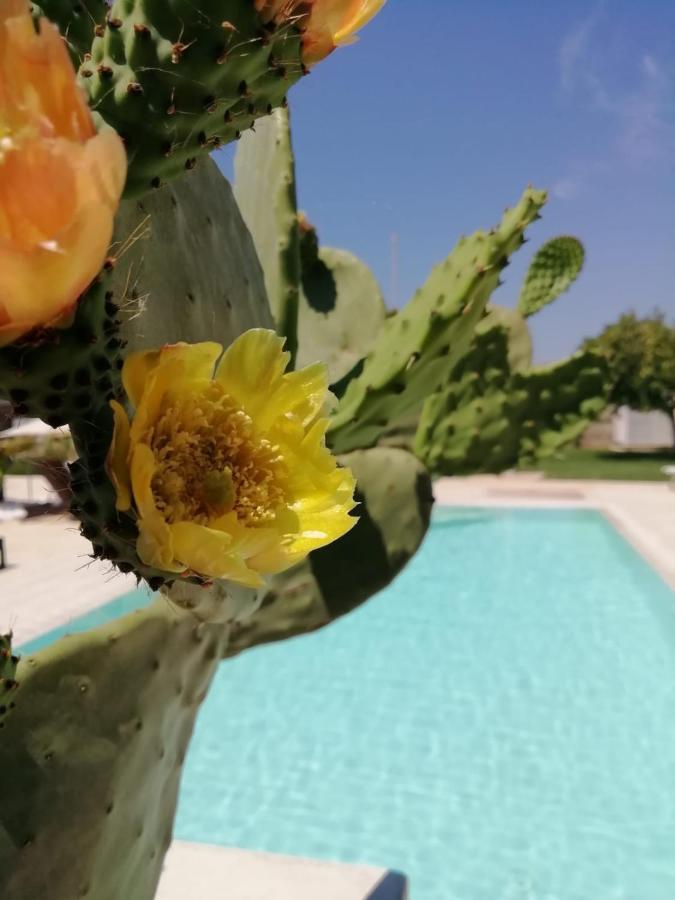 Il Giardino Del Tiglio Panzió Uggiano la Chiesa Kültér fotó