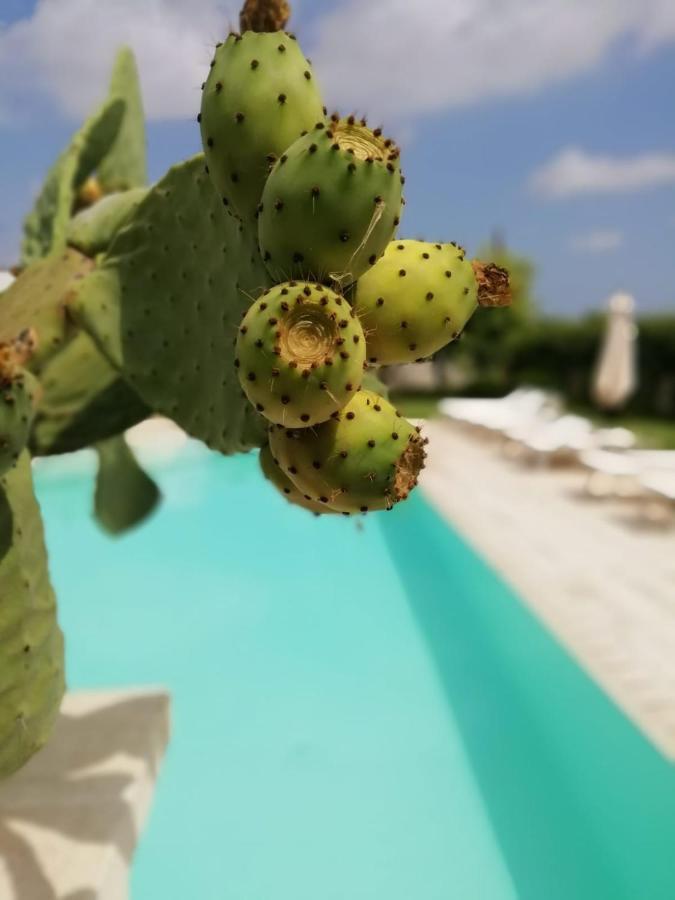 Il Giardino Del Tiglio Panzió Uggiano la Chiesa Kültér fotó